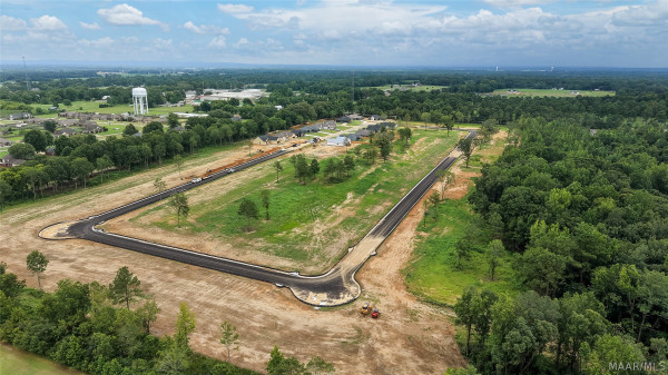 84 Lorie Lee Loop