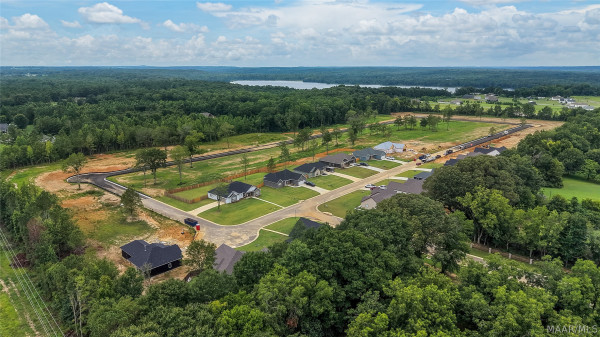 100 Lorie Lee Loop
