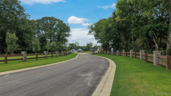 100 Lorie Lee Loop