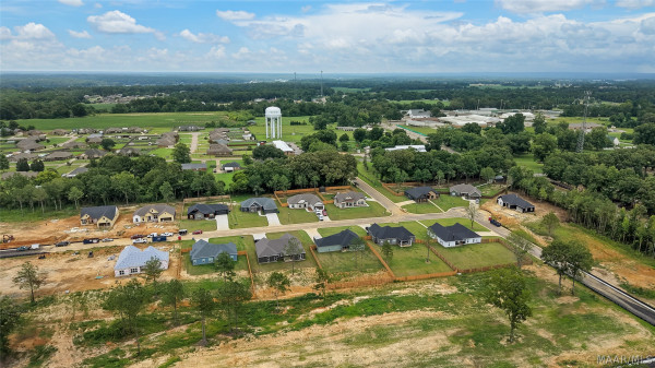 100 Lorie Lee Loop