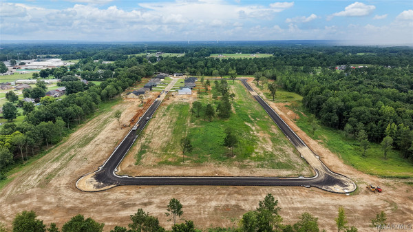 83 Lorie Lee Loop