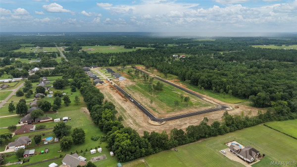 83 Lorie Lee Loop