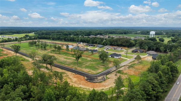 83 Lorie Lee Loop