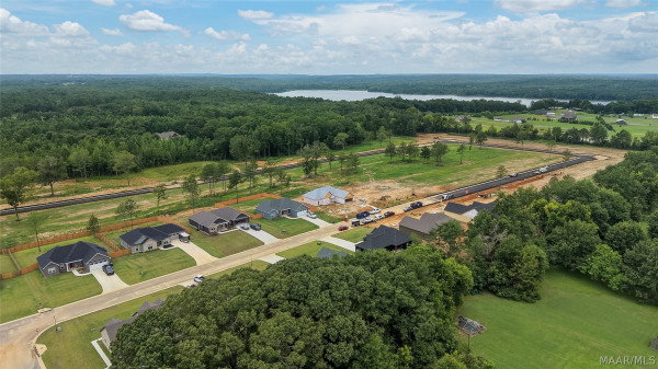 83 Lorie Lee Loop