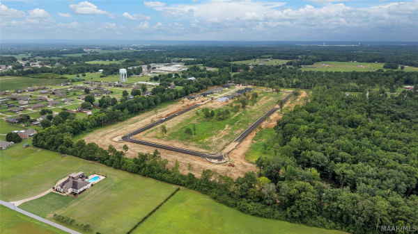 83 Lorie Lee Loop