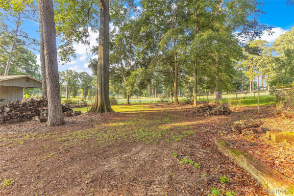 212 Tensaw Road