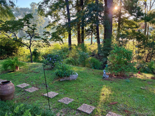 466 Hillabee Drive