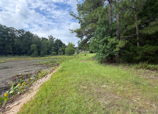 4980 Longview Road