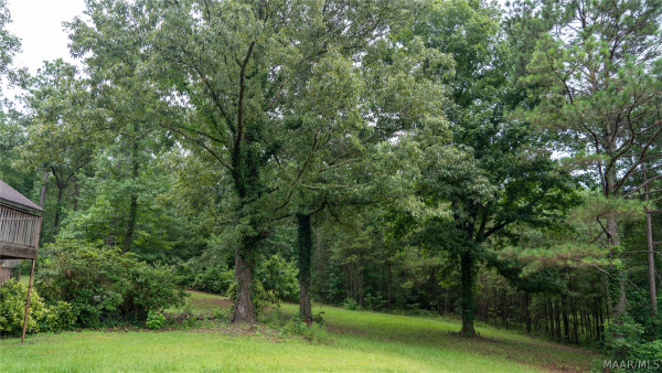 4388 County road 5 Road