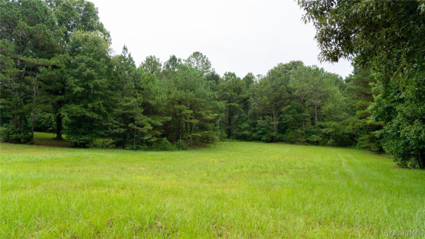 4388 County road 5 Road
