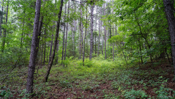 4388 County road 5 Road