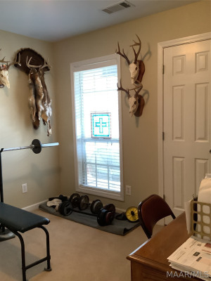 6800 Sandfield Drive