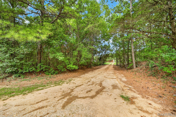 1168 Gantt Road