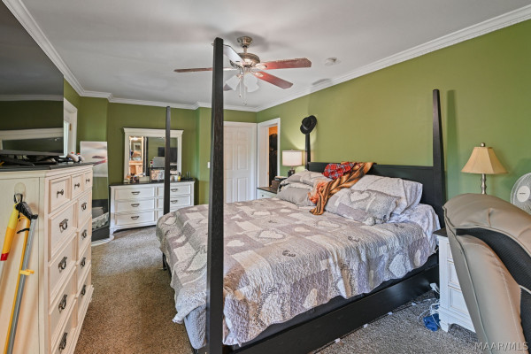 294 Elmore Road