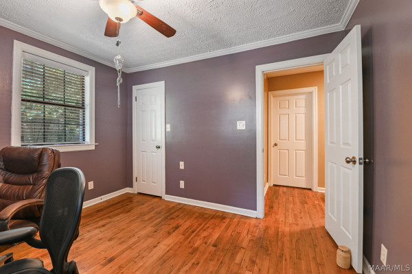 294 Elmore Road