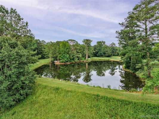3695 Georgia Road