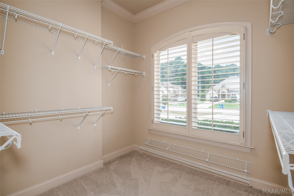 505 Weatherby Trail