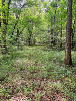 270 W Central Road