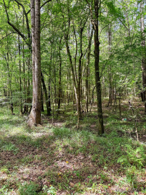 270 W Central Road