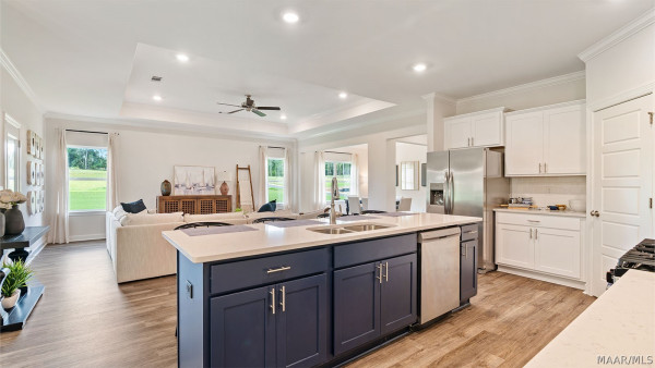 347 Brees Way