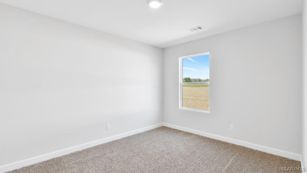 1028 Old Willow Drive