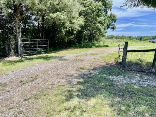 3990 Grier Road
