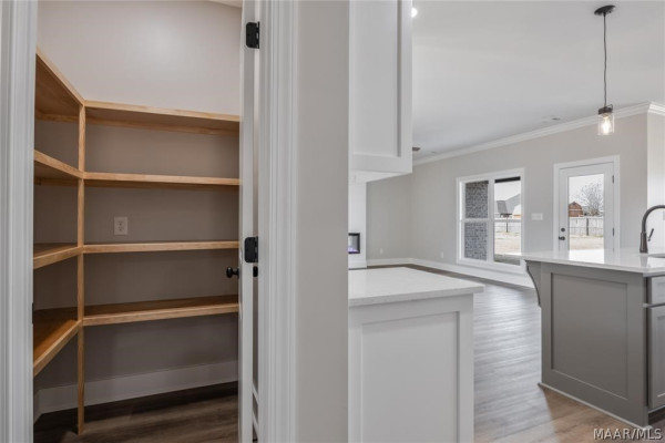 246 Cotton Terrace Loop