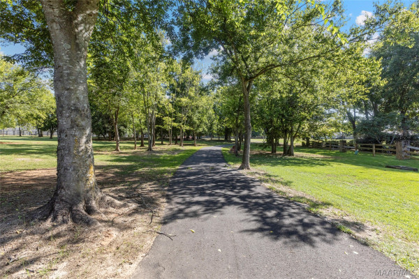 547 Jasmine Trail