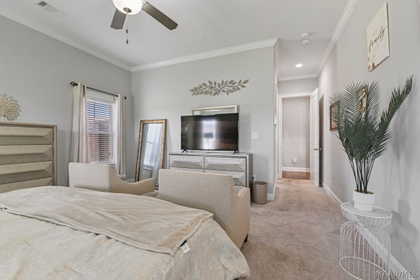 491 Midland Drive