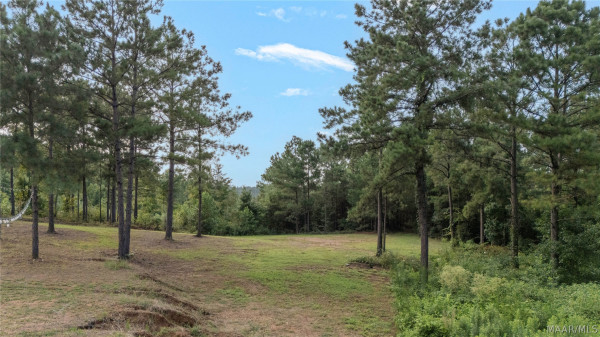451 county road 264 Road