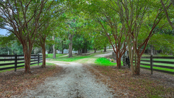 594 Ridgeland Farms Road