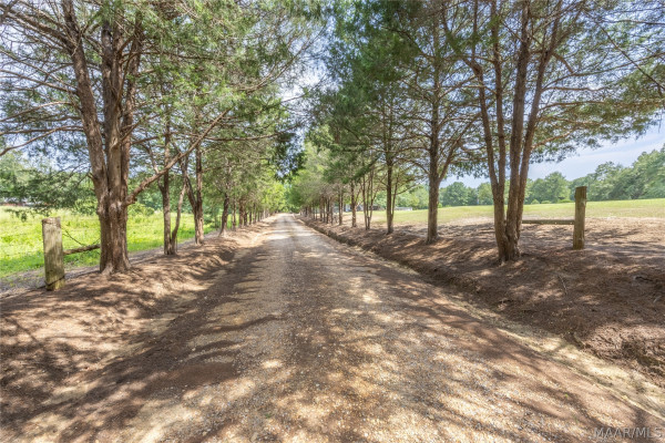 168 County Road 303 .