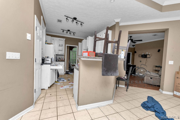 391 Fallon Court