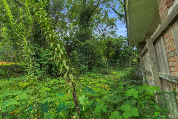 391 Fallon Court
