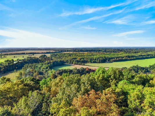 60 Cagle Bluff Court