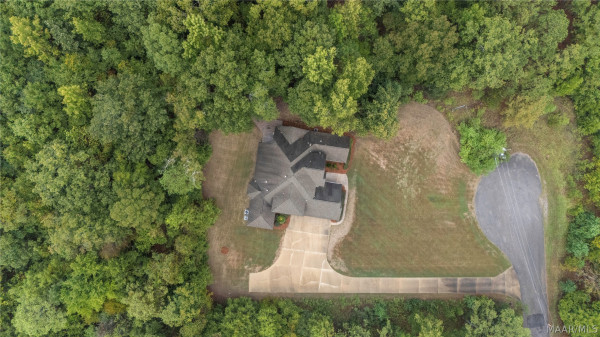 341 Jasmine Trace