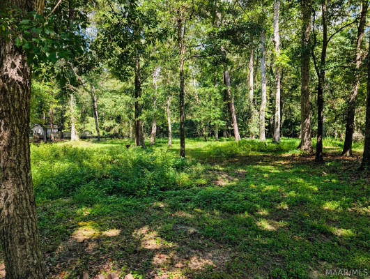 127 Forest Brook Drive