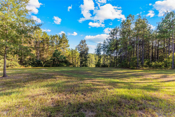 381 County Road 82 Road