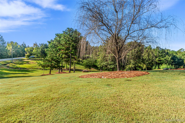 595 Neros Rock Road