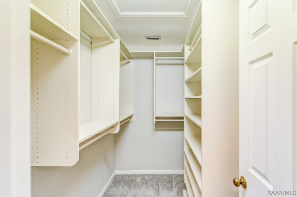8141 Oak Alley