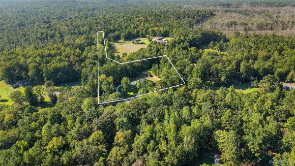 1368 Hidden Forest Trail