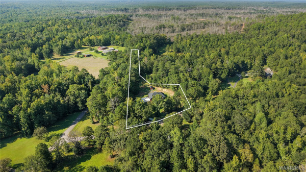 1368 Hidden Forest Trail