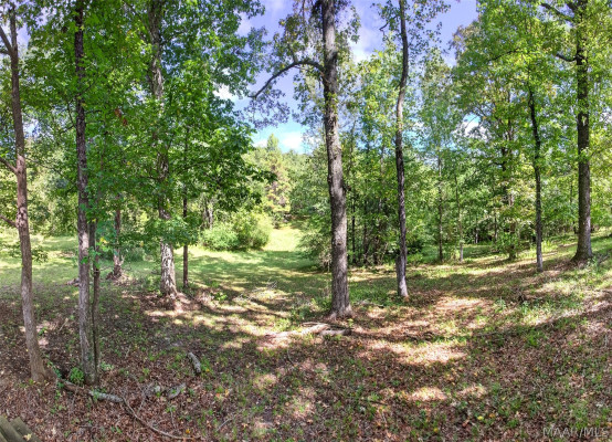 6782 Union Academy Ada Road