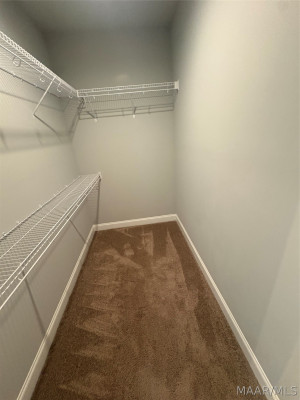 316 Abby Lane
