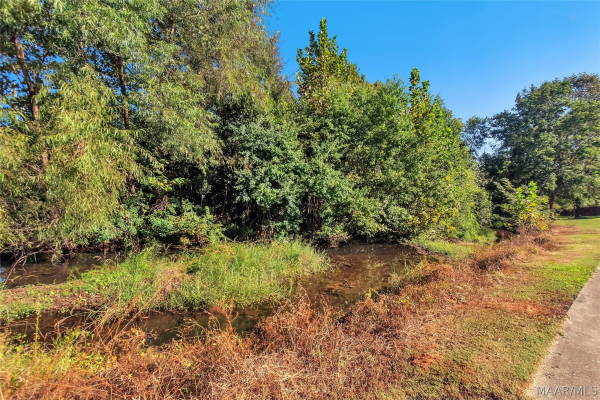 5480 Willow Tree Drive