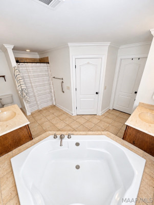 339 RIVER BIRCH Circle
