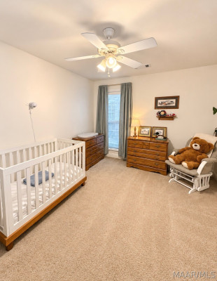 339 RIVER BIRCH Circle