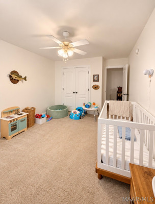339 RIVER BIRCH Circle