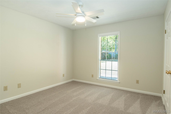 513 Pinetree Lane
