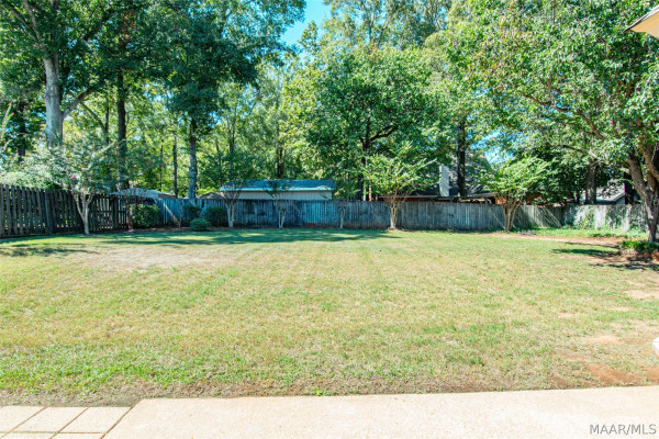 513 Pinetree Lane